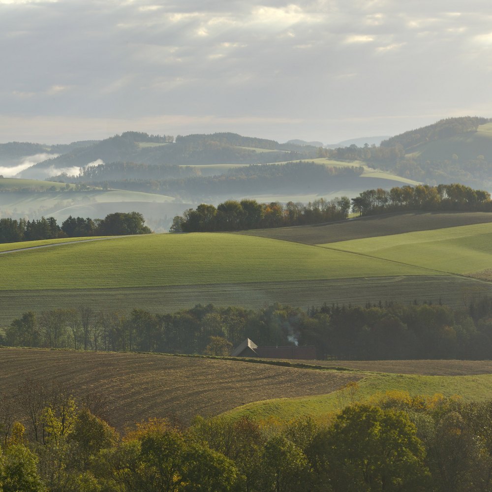 Region & Aktivitäten