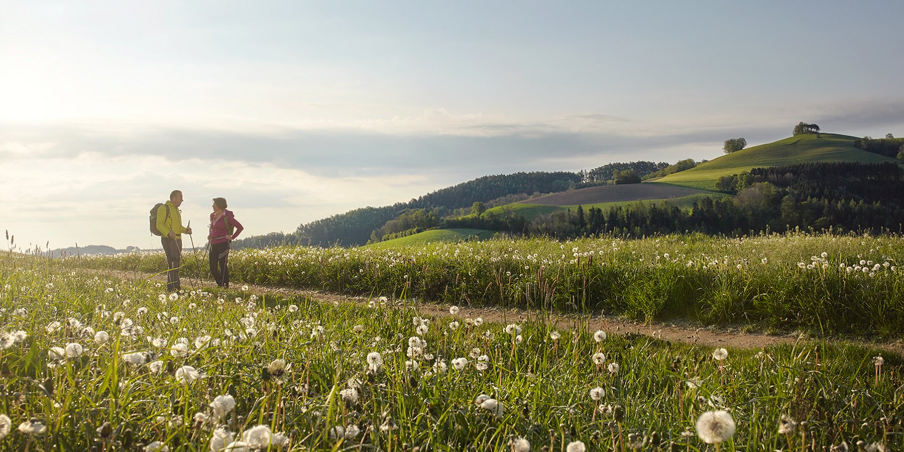 Bucklige Welt Kirchschlag Niederösterreich