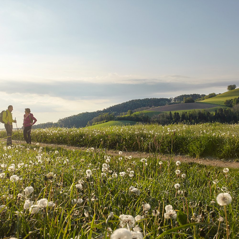 Bucklige Welt Kirchschlag Niederösterreich