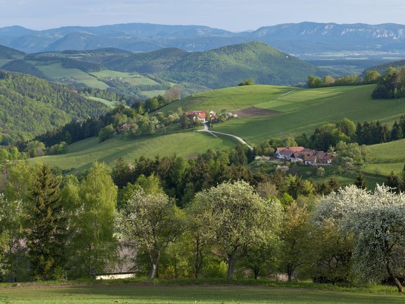 Bucklige Welt Beer & Wine Bucklige Welt Beer & Wine