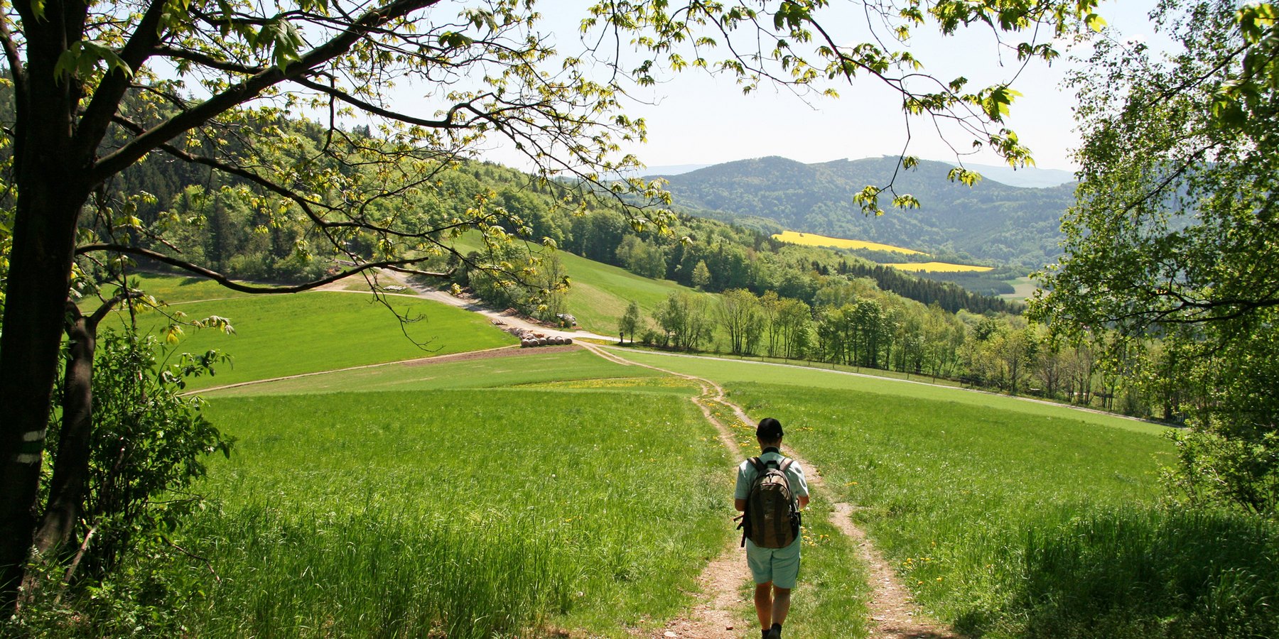 Bucklige Welt Niederösterreich