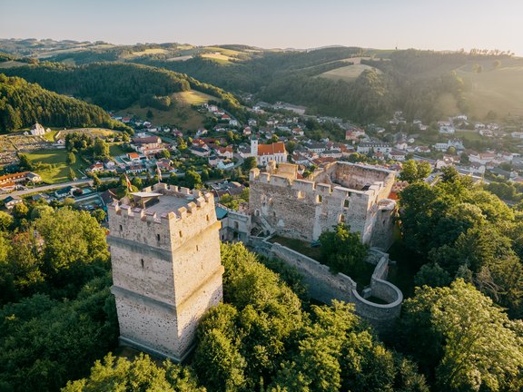 Burgruine Kirchschlag Wiener Alpen Königshofer